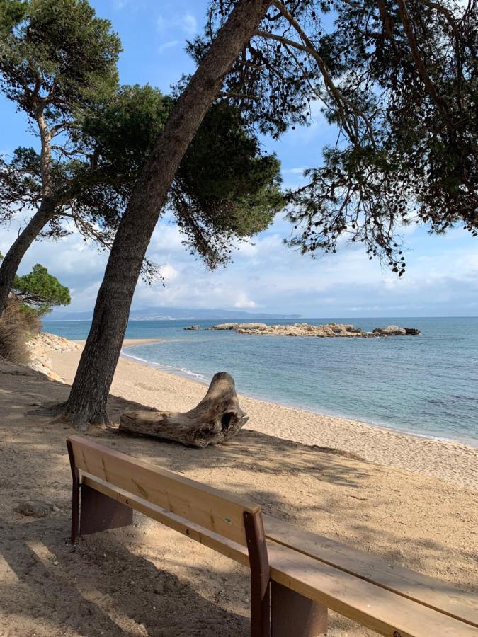 Acogedor Apartamento En Roses - 50M Playa - Wifi - Aire Acondicionado Eksteriør bilde
